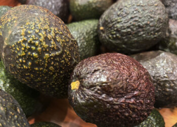 ‘Esta es una herida autoinfligida para la economía estadounidense’