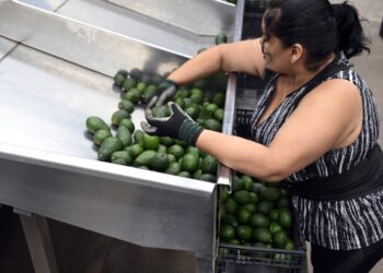 Trump impone nuevos aranceles a las importaciones de México, Canadá y China: NPR