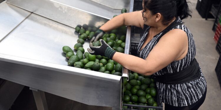 Trump impone nuevos aranceles a las importaciones de México, Canadá y China: NPR