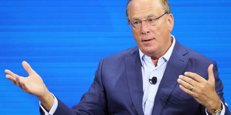 A medida que el Seguro Social enfrenta un futuro incierto, algunos dicen que debería ser privatizado