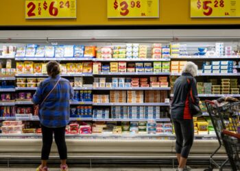 Aquí está el desglose de la inflación para febrero de 2025, en un gráfico