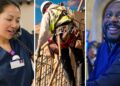 Aquí es donde están los trabajos para febrero de 2025, en un gráfico