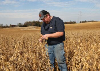 Cómo la política comercial de Trump está presionando a los agricultores estadounidenses