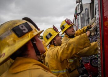 Lo que los prestatarios de préstamos estudiantiles deberían conocer como Trump se dirige a PSLF