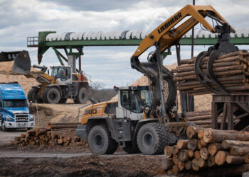 Trump amplía las amenazas comerciales en el juego global de pollo