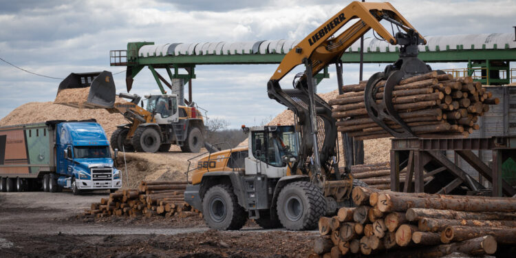 Trump amplía las amenazas comerciales en el juego global de pollo