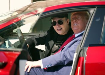 Musk no puede reducir $ 700 mil millones en fraude en el Seguro Social, Medicare y Medicaid