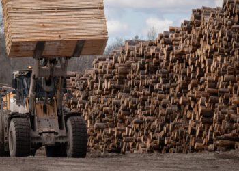Trump elige otra pelea comercial con Canadá por madera