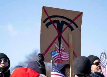 Cientos de protesta contra las salas de exhibición de Tesla sobre el trabajo de Dogle de almizcle