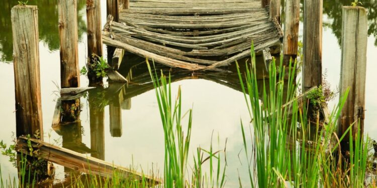 MEGA MLSS intentan vender remine, ya sea entero o en partes