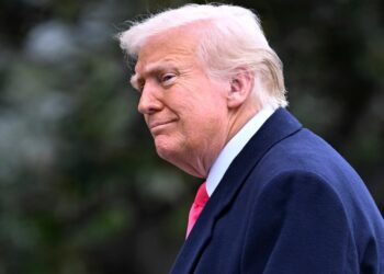 Las calificaciones de aprobación económica de Trump se hunden a medida que crecen los temores de inflación