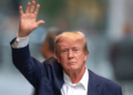 El aumento de las órdenes de Trump en la producción de madera estadounidense, la investigación de madera extranjera