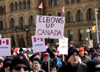 ¿Qué otros países están quitando la batalla de Trump con Canadá?