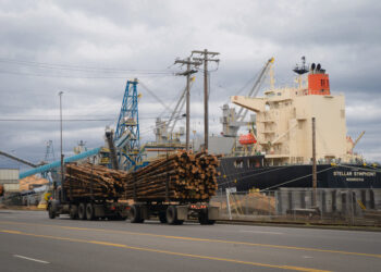 Votaron por Trump. ¿Encenderá verde su proyecto de infraestructura de $ 2B?