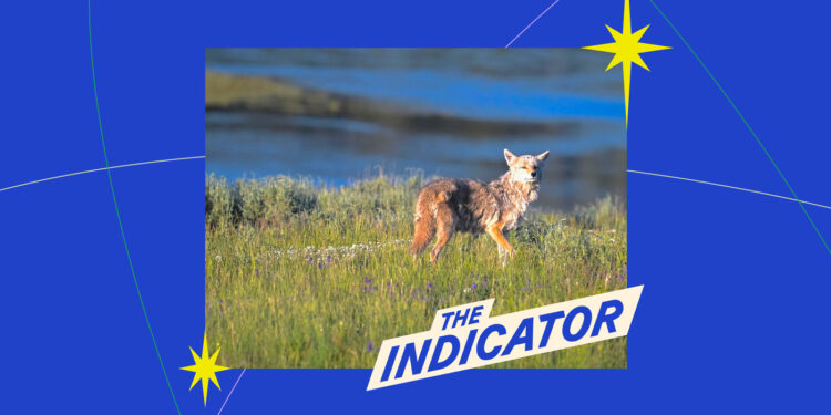 El indicador del dinero del planeta: NPR