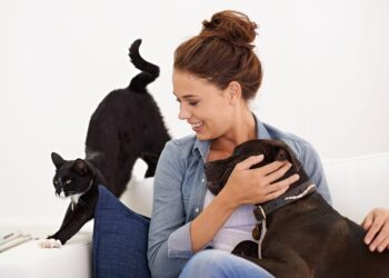 Aquí está cuánto cuesta realmente tener un perro o un gato en 2025