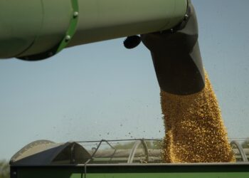 Es probable que los aranceles lastimarán a los agricultores, los mayores partidarios de Trump: NPR