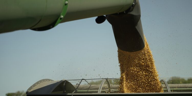 Es probable que los aranceles lastimarán a los agricultores, los mayores partidarios de Trump: NPR