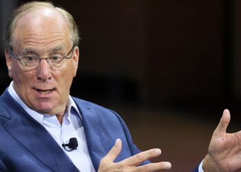 La cartera 60/40 ya no representa ‘verdadera diversificación’: Fink