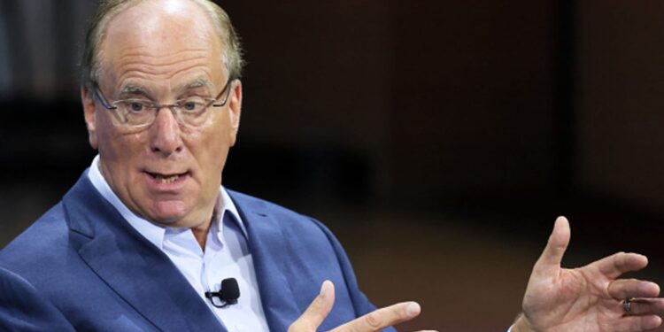 La cartera 60/40 ya no representa ‘verdadera diversificación’: Fink