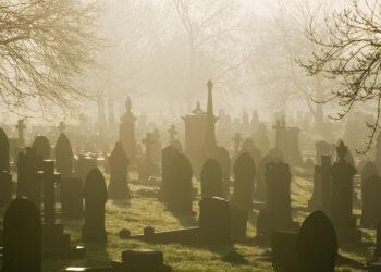 He aquí por qué los inversores ‘muertos’ superan a los vivos