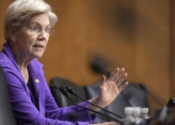 WARREN: Las empresas utilizarán aranceles como excusa para el “precio de relieve”