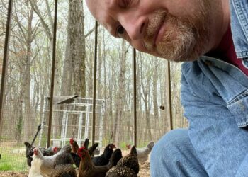 ¿Quién debería conseguir huevos en escasez? : Money del planeta: NPR