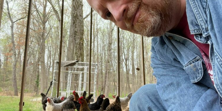 ¿Quién debería conseguir huevos en escasez? : Money del planeta: NPR