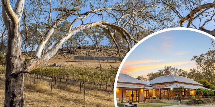 ¿Te gusta el vino? Haga el suyo en esta impresionante propiedad Gemmells.