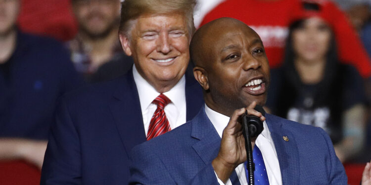 Trump prueba el legado comercial minoritario de Tim Scott