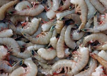 Considere esto de NPR: NPR