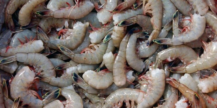 Considere esto de NPR: NPR