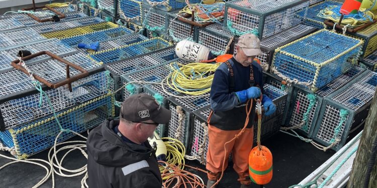 Estado del mundo de NPR: NPR