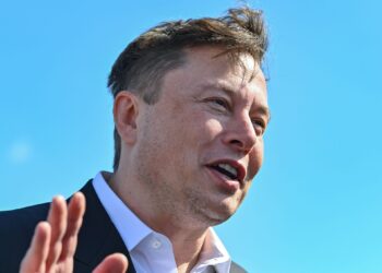 El duendado de Musk podría estar costando a los estadounidenses tanto como ahorrando