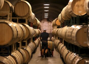 Los aranceles hacen uvas agrias para los enólogos estadounidenses: el dinero del planeta: NPR