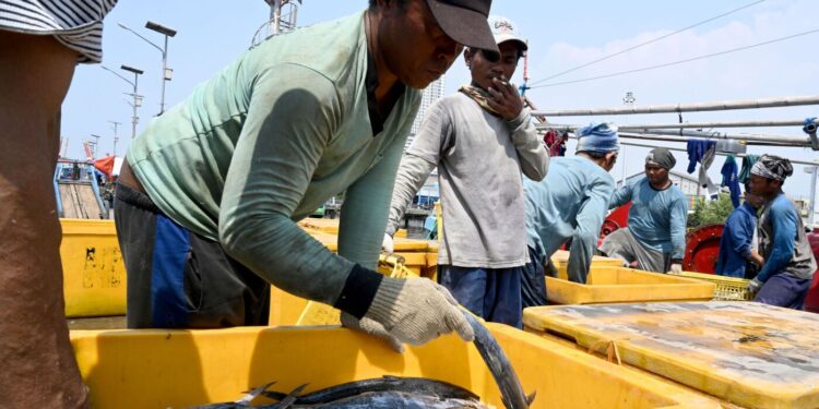 10 artículos de comestibles que probablemente verán precios más altos debido a las tarifas: NPR