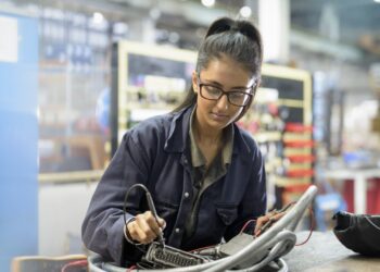 En Trump, Harvard Battle, las escuelas comerciales pueden ser un ganador poco probable