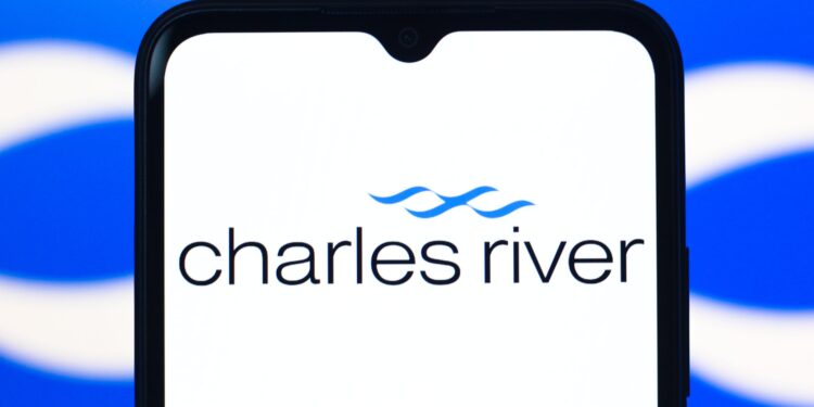 3 formas de crear valor