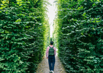 El plan de préstamo estudiantil republicano tiene un cronograma de reembolso de 30 años