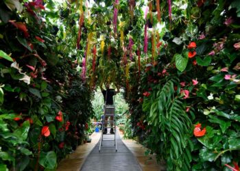 4 formas de hacer crecer su currículum personal después de la jubilación