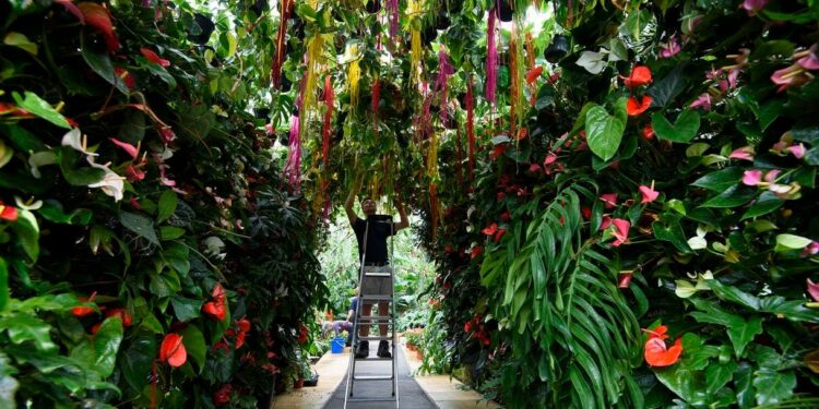 4 formas de hacer crecer su currículum personal después de la jubilación