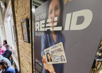 TSA: 81 por ciento de los volantes que usan ID real o identificación aceptable