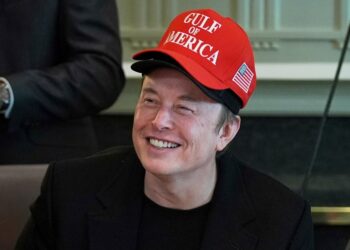 Cómo el papel de la Casa Blanca de Musk evolucionó en 100 días