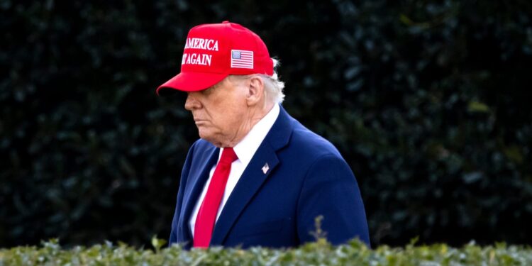 Hat rojo, tinta roja: 9 errores de dinero inspirados en Maga que contraproducen