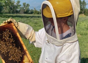 Los aranceles de Trump ya están apareciendo en los recibos de los estadounidenses: NPR