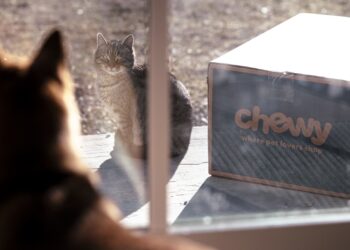 Acciones que realizan los movimientos más grandes del mediodía: Oklo, Chwy, QuBT, GTLB