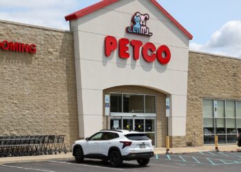 Acciones que realizan los movimientos más grandes del mediodía: Woof, TSLA, CRCL, Lulu