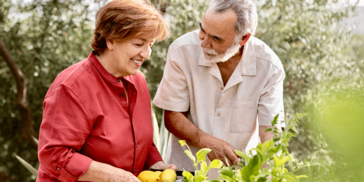 ¿Cuánto de una pensión recibe un sobreviviente?
