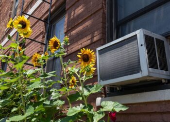 El retiro de moho de la unidad de CA alcanza 1.7 millones. ¿Están en riesgo su familia y finanzas?