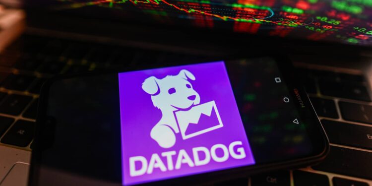 SNP, viaje, ddog, capucha y más